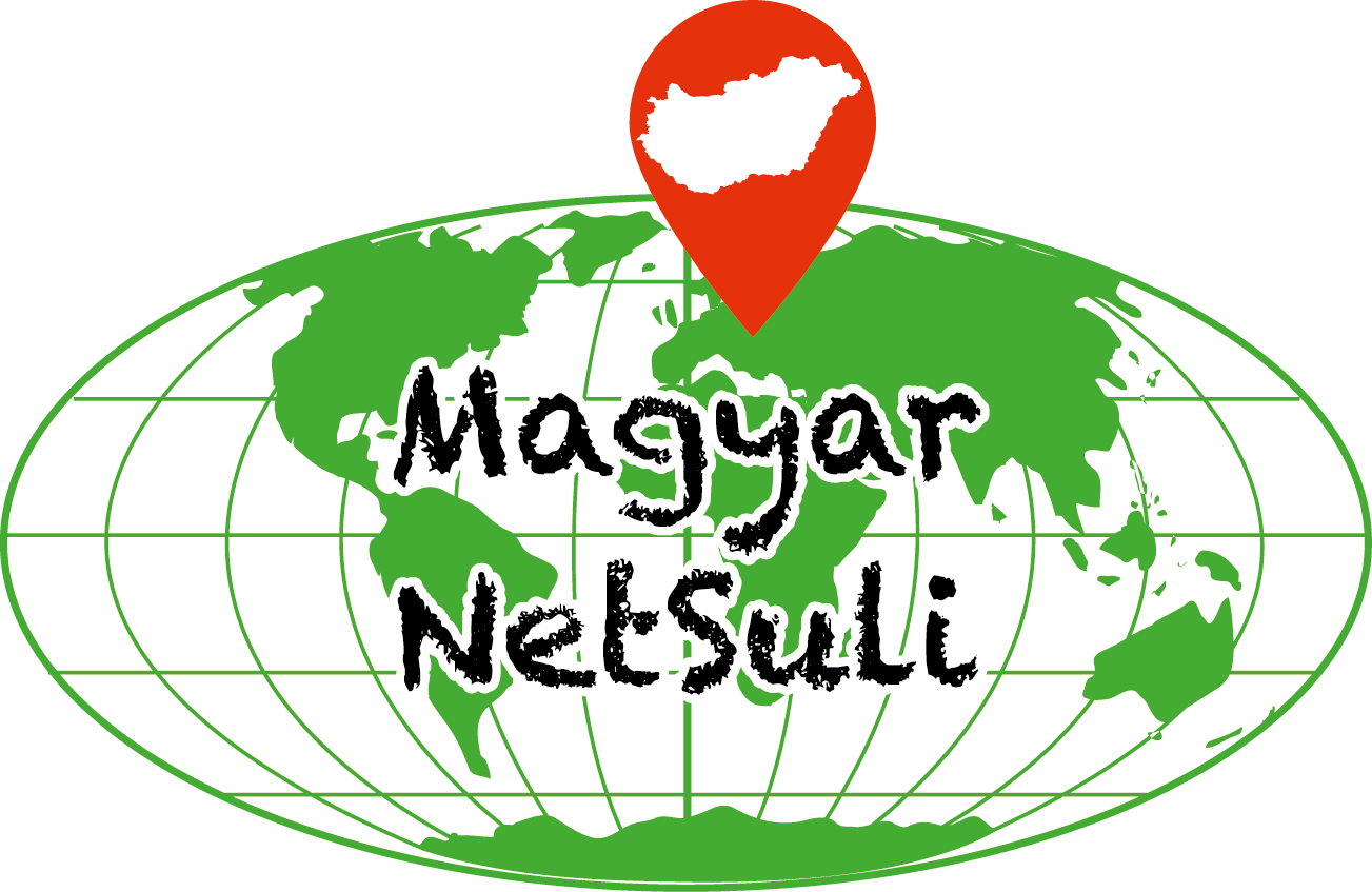 NetSuli